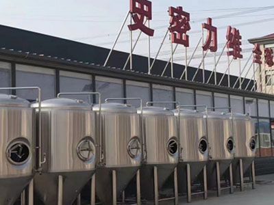 开封精酿啤酒设备厂—如何判断精酿啤酒设备的密封件需要更换？