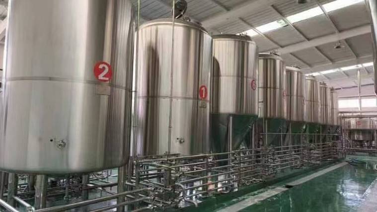 开封日产10吨精酿啤酒设备多少钱?2026年全套报价帮你算明白